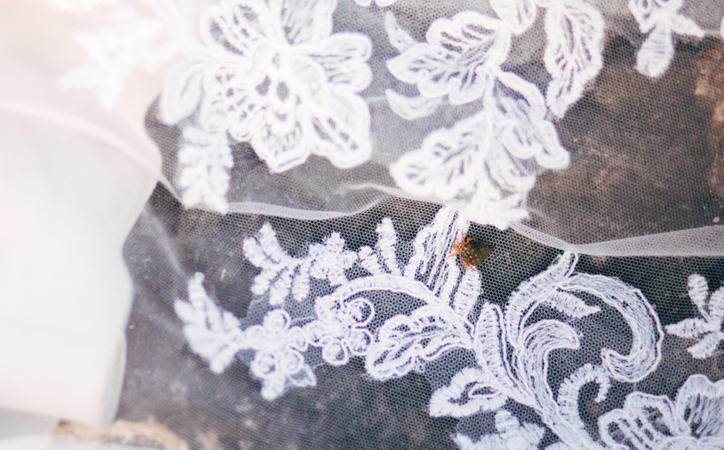 Montego Bay, Jamaica • M&G Wedding Photos - 