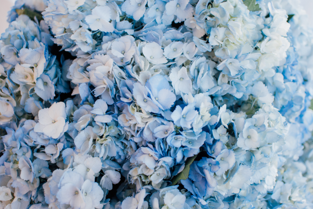 Montego Bay, Jamaica • M&G Wedding Photos - 