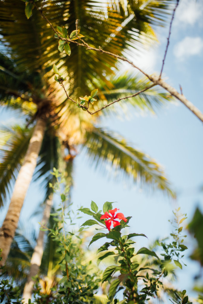 Winter Destination Wedding in Punta Cana by Saidia Photography (Ottawa, ON) - 