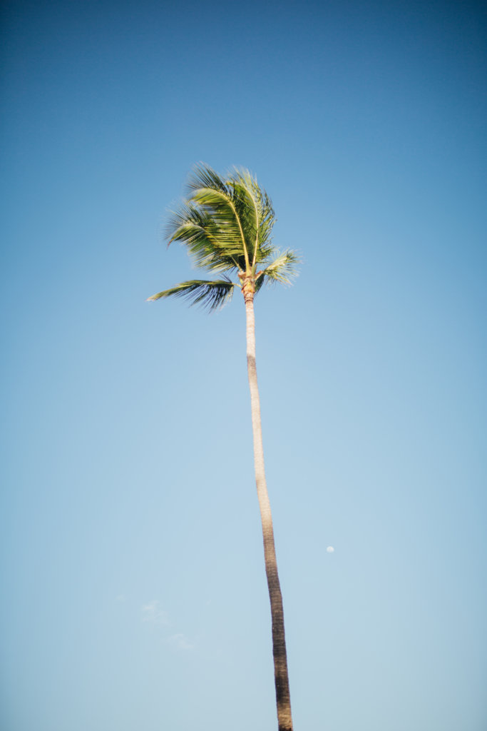 Winter Destination Wedding in Punta Cana by Saidia Photography (Ottawa, ON) - 