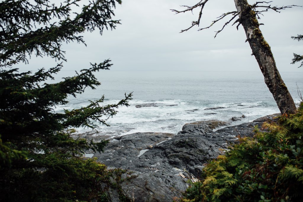 Botanical Beach Hike by Saidia Photography [Vancouver Island] - 