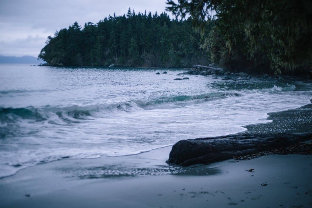 Coast Trail, East Sooke Park by Saidia Photography [Vancouver Island] - 