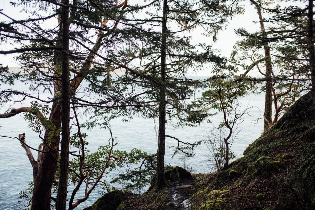 Coast Trail, East Sooke Regional Park by Saidia Photography [Vancouver Island] - 