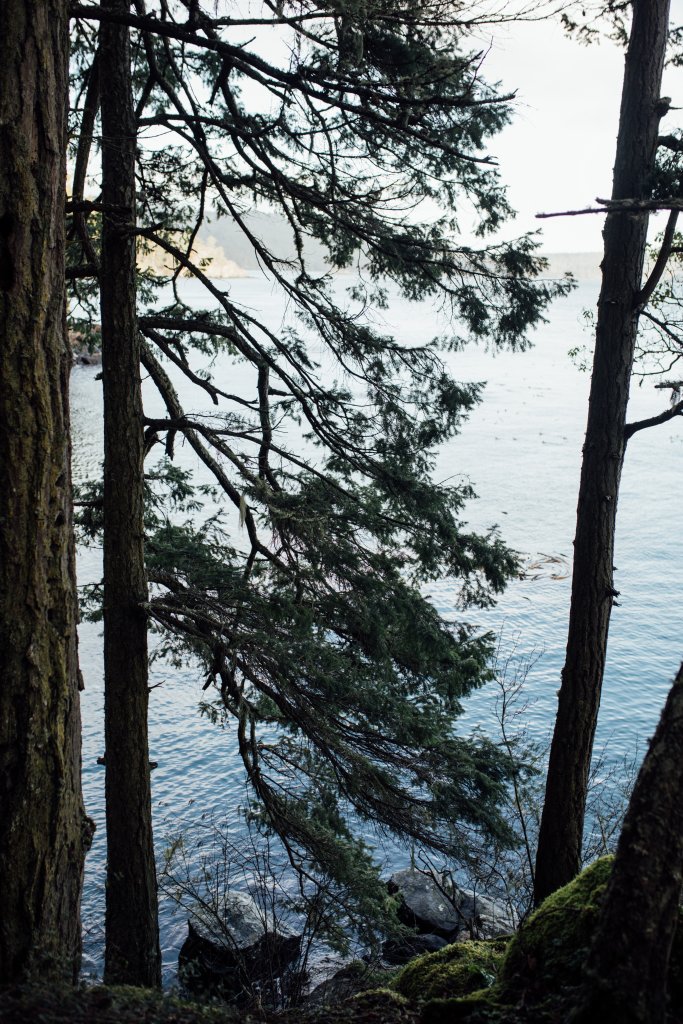 Coast Trail, East Sooke Regional Park by Saidia Photography [Vancouver Island] - 