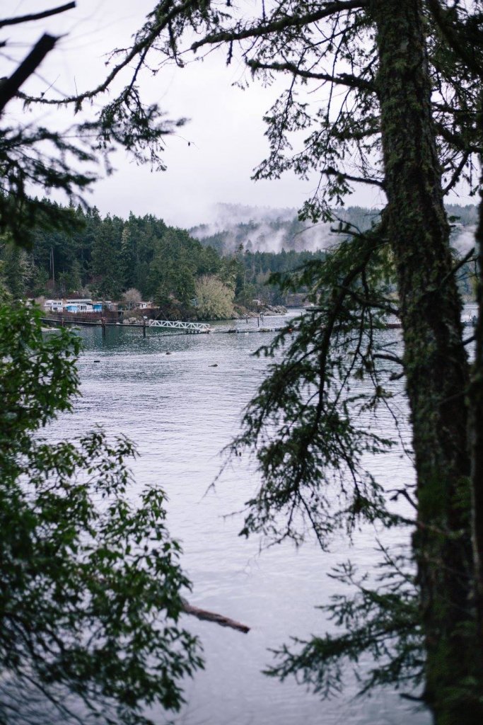 Roche Cove, East Sooke Park by Saidia Photography [Vancouver Island] - 