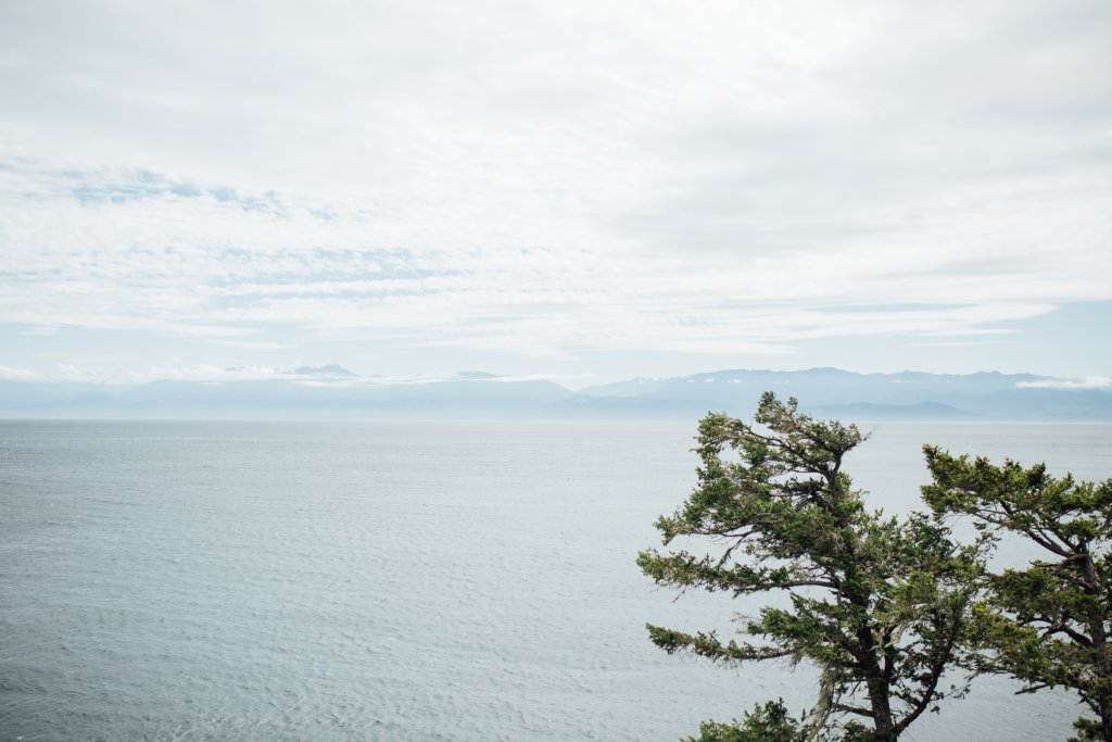 Vancouver Island Adventures With Photographer Saidia Z.Ariss - 