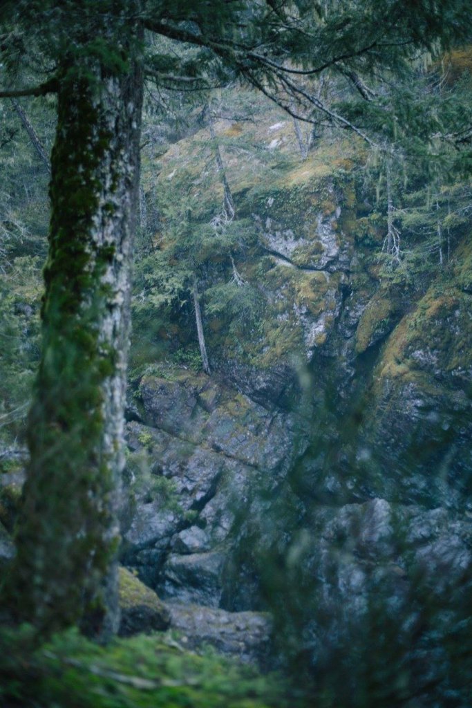 Sooke Pot Holes Regional Park, BC by Saidia Photography [Vancouver Island] - 