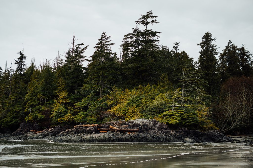 Vancouver Island Adventures With Photographer Saidia Z.Ariss (Sooke, BC) - 