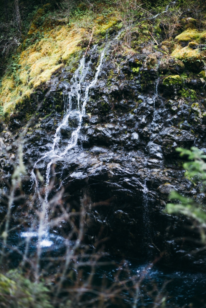 Sooke, BC • L Portraits - 