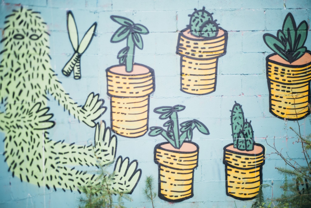 Sooke, BC • L Portraits - 