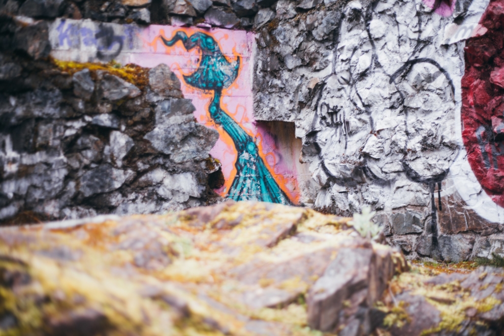 Sooke, BC • L Portraits - 