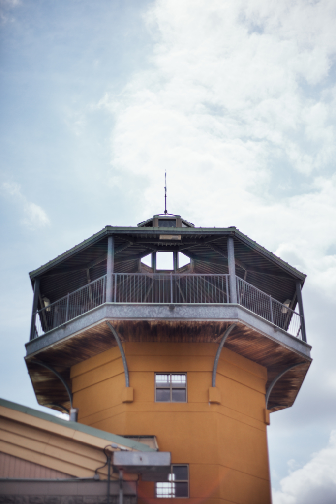 Hamilton, Ontario • A & R Wedding Photos - 