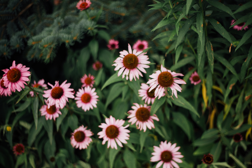 London, ON • B&B Wedding Photos - 