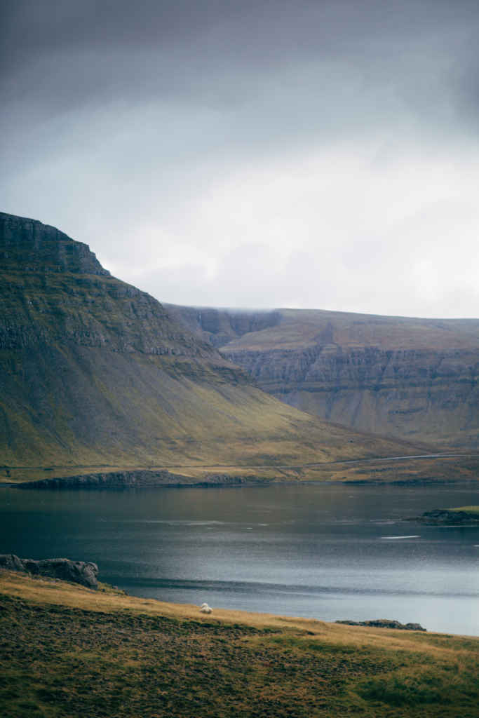 Travel • Iceland - 