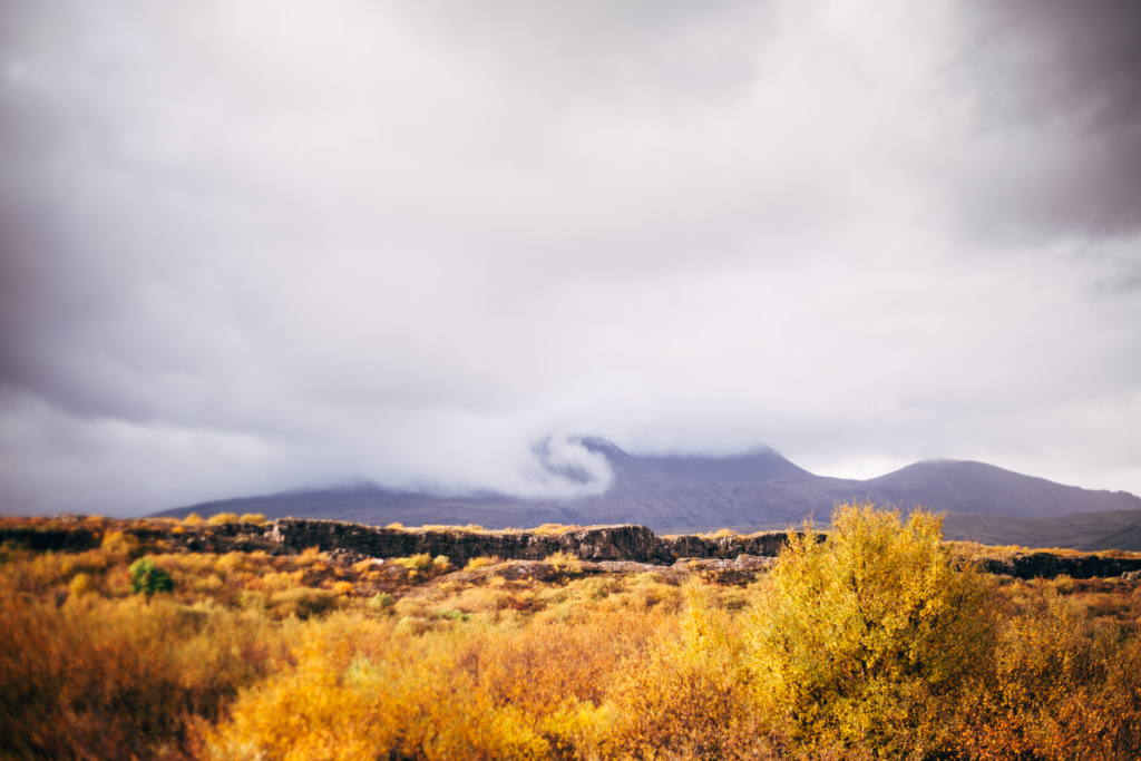 Travel • Iceland - 