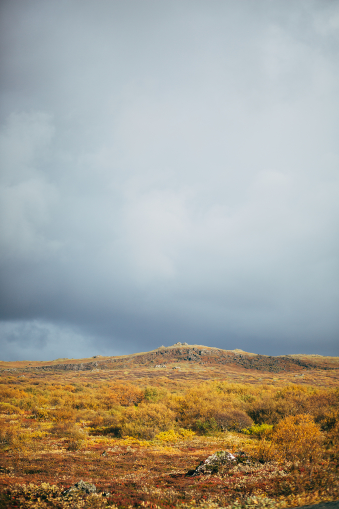 Travel • Iceland - 