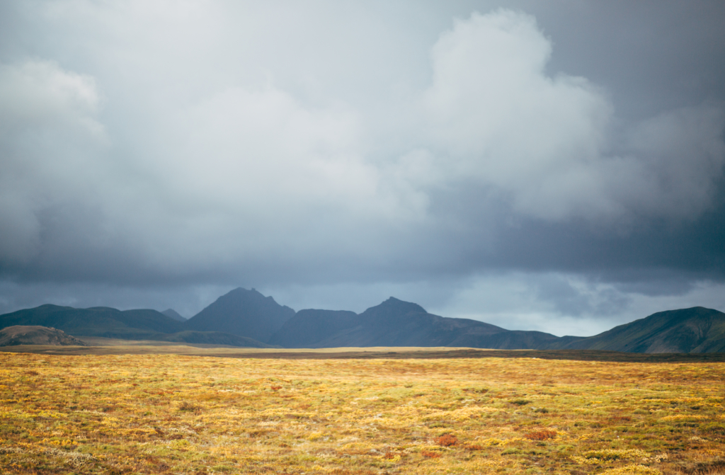 Travel • Iceland - 