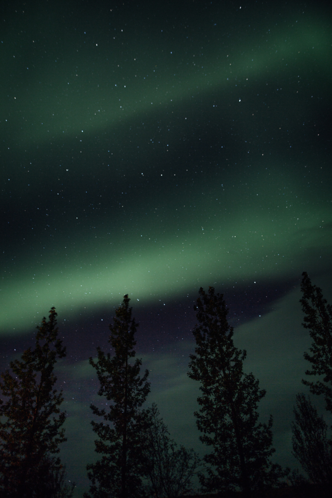 Travel • Iceland - 