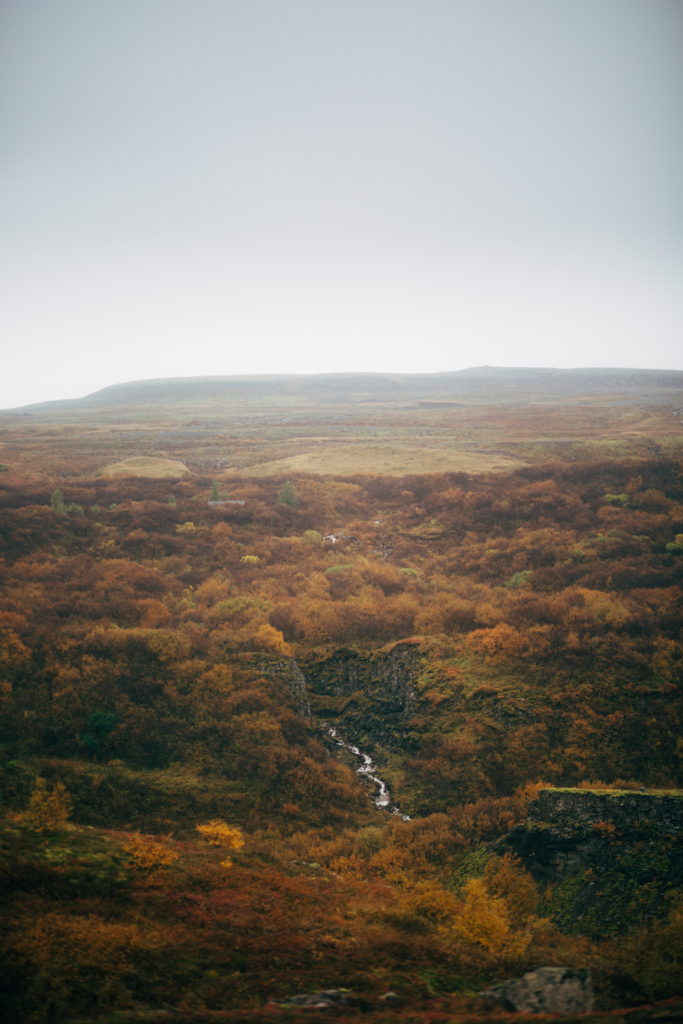 Travel • Iceland - 