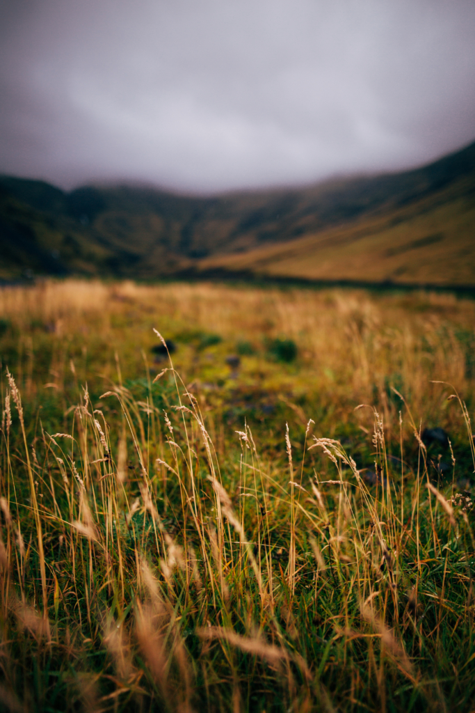 Travel • Iceland - 