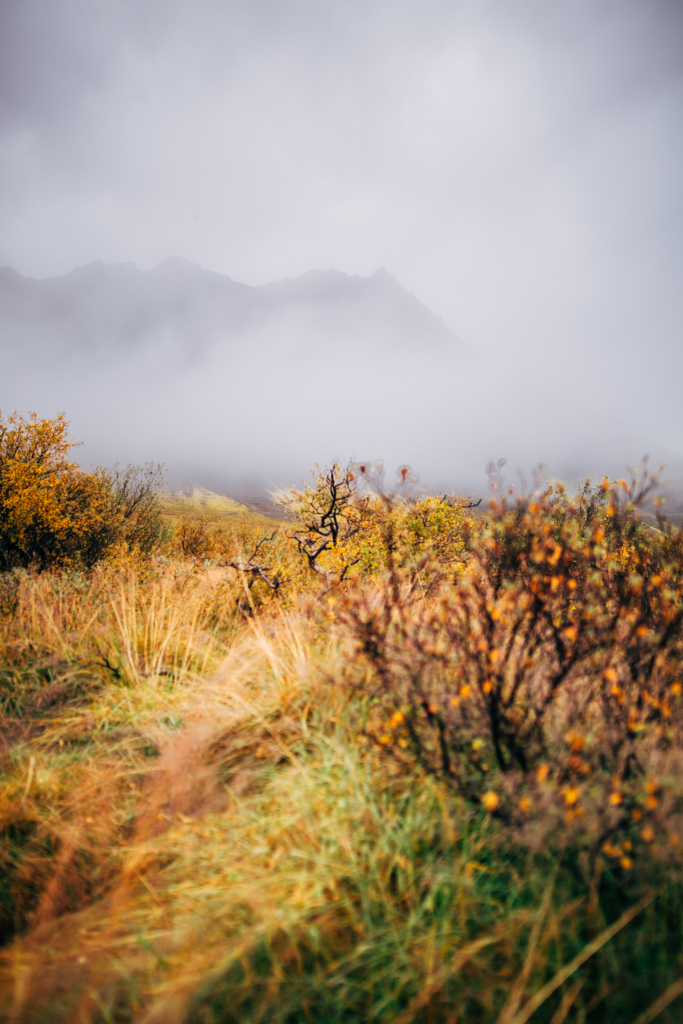 Travel • Iceland - 