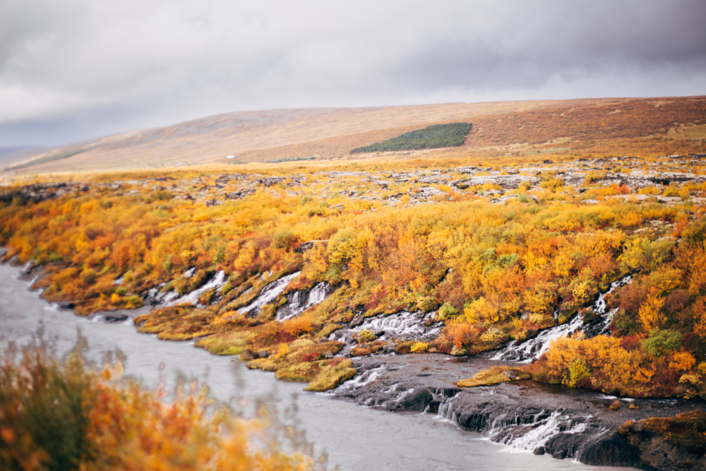 Travel • Iceland - 