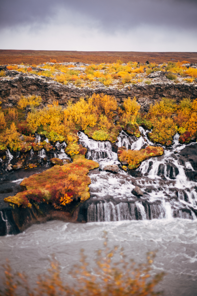 Travel • Iceland - 