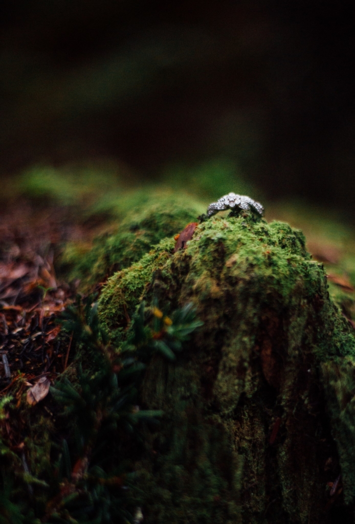 Sooke, BC • S&D Engagement Photos - 