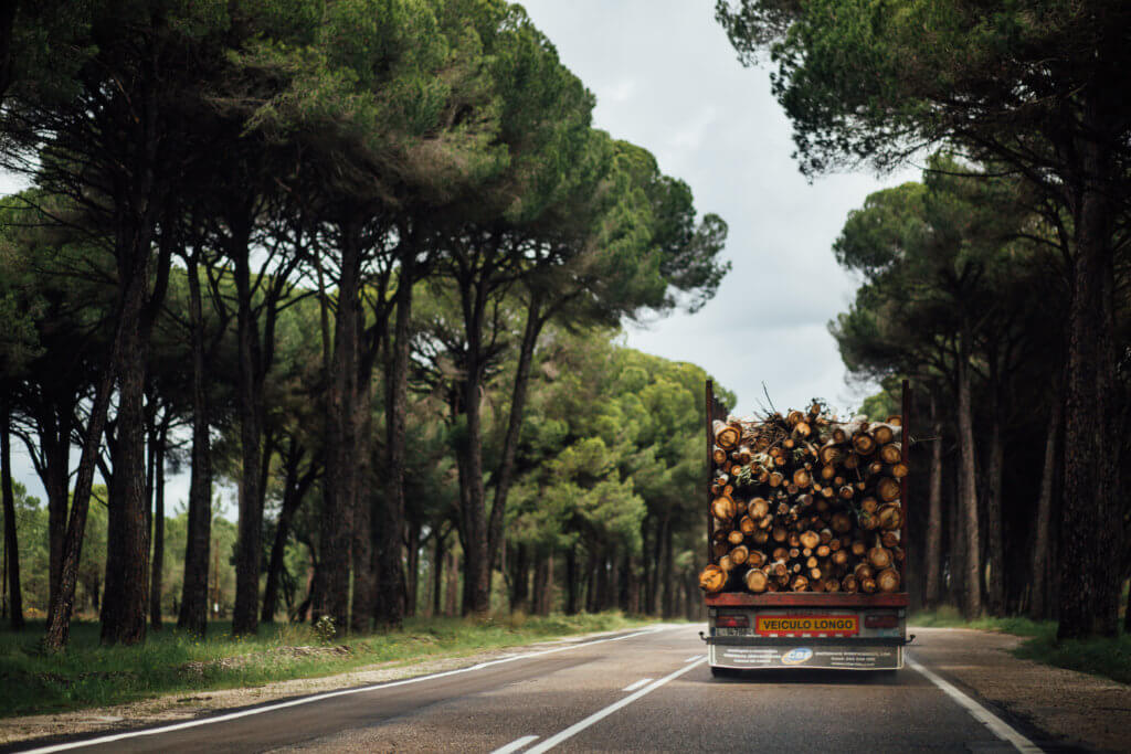 Travel • Portugal • Saidia Photography - 