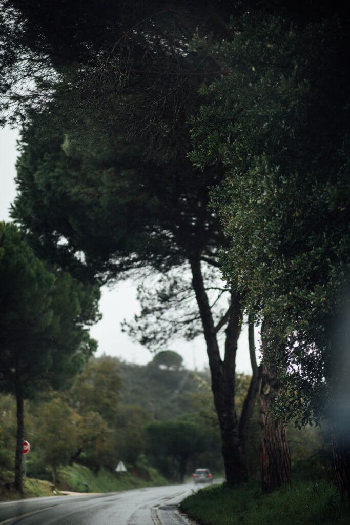 Travel • Portugal • Saidia Photography - 