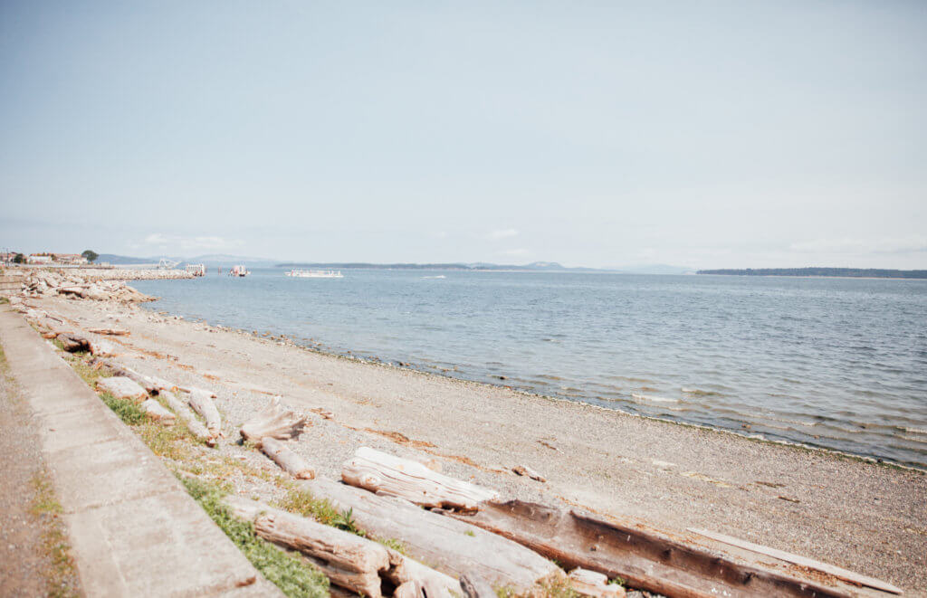 Victoria, BC • D&D Wedding Photos - 