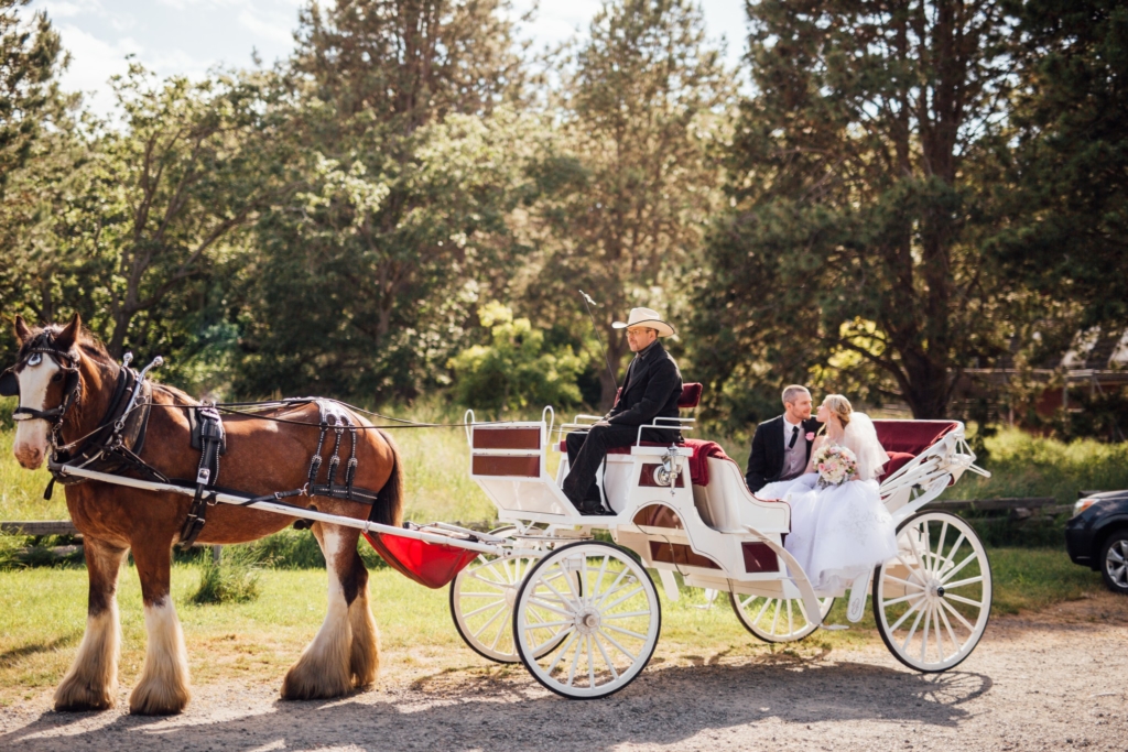 Victoria, BC • S&B Wedding Photos - 