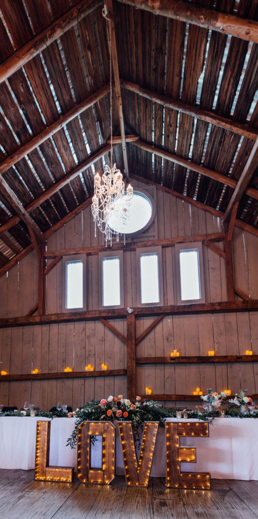 Evermore, Almonte, ON • C&J Wedding/ Reception Photos - 