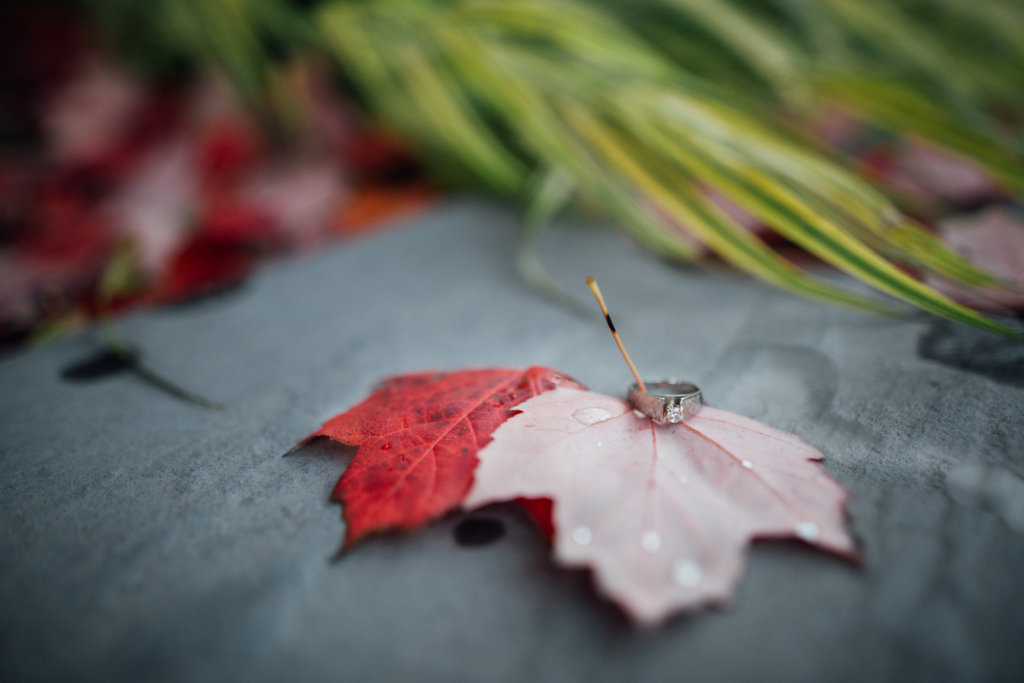 Golden Engagement Photos in the Glebe • Ottawa, ON, Saidia Photography - 