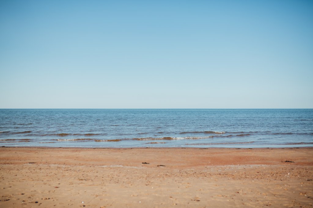 Wedding Photography: Elope PEI by Saidia Photography - 