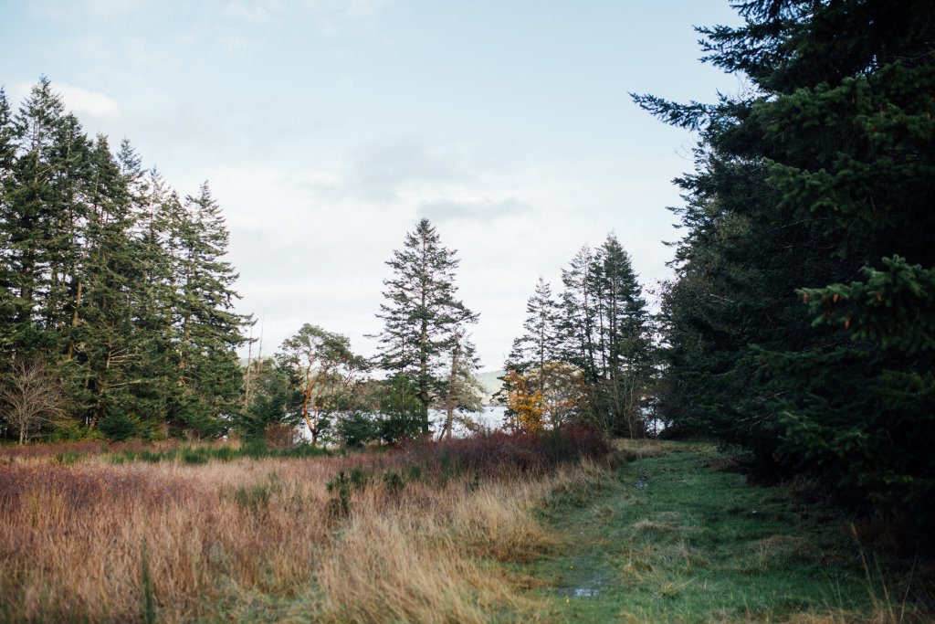 Creyke Point Trail, East Sooke Regional Park by Saidia Photography [Vancouver Island] - 