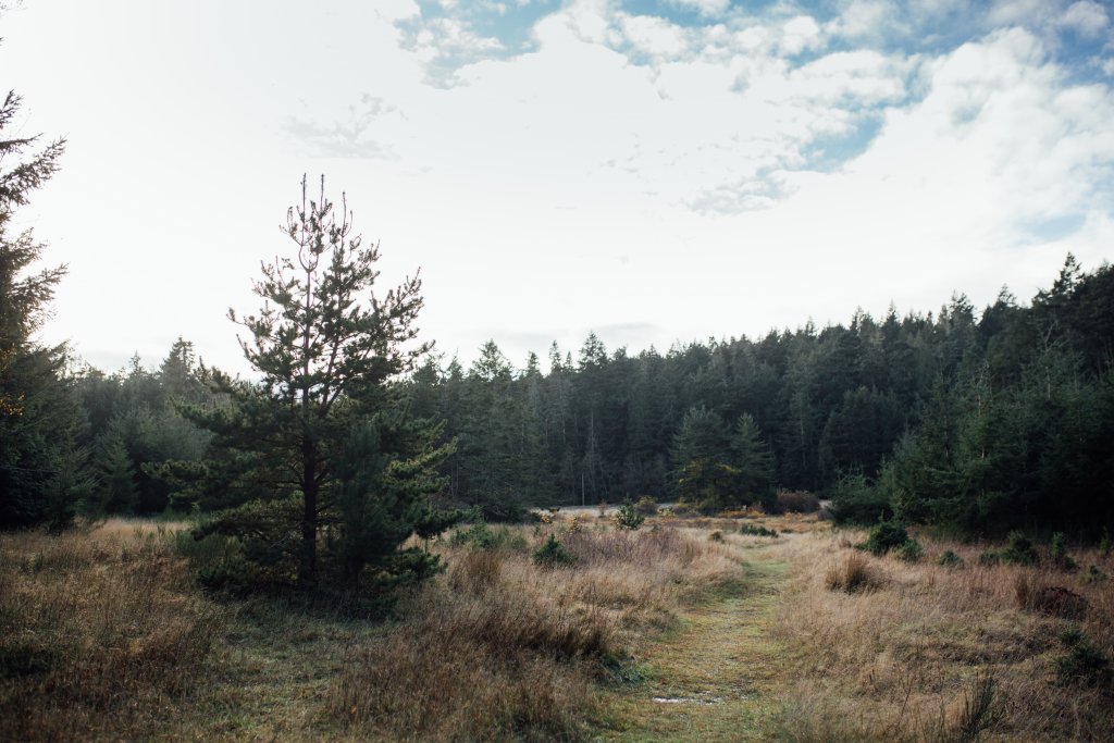 Creyke Point Trail, East Sooke Regional Park by Saidia Photography [Vancouver Island] - 