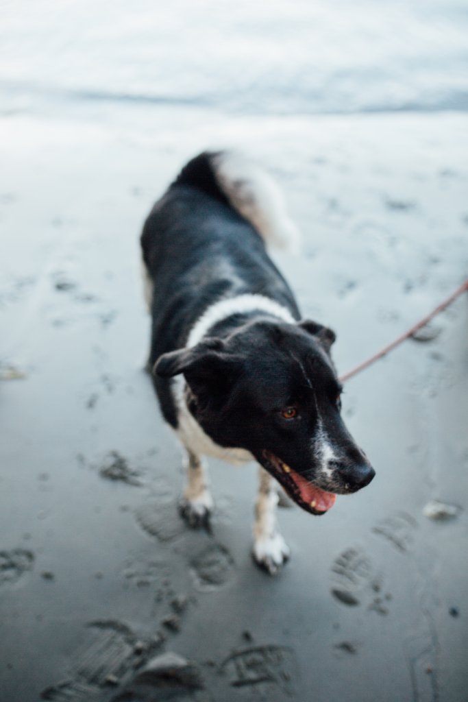 Creyke Point Trail, East Sooke Regional Park by Saidia Photography [Vancouver Island] - 