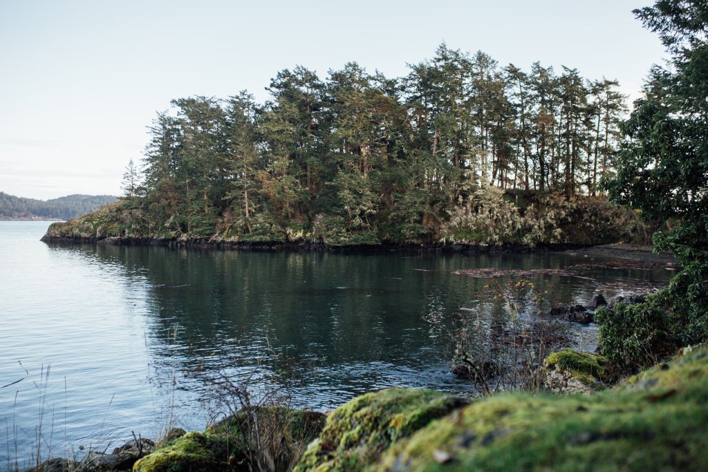 Creyke Point Trail, East Sooke Regional Park by Saidia Photography [Vancouver Island] - 