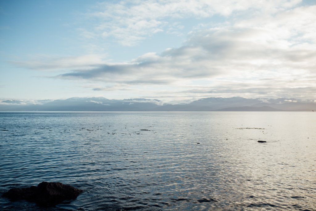 Creyke Point Trail, East Sooke Regional Park by Saidia Photography [Vancouver Island] - 