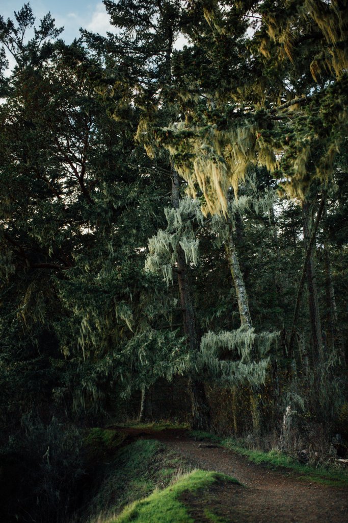 Creyke Point Trail, East Sooke Regional Park by Saidia Photography [Vancouver Island] - 