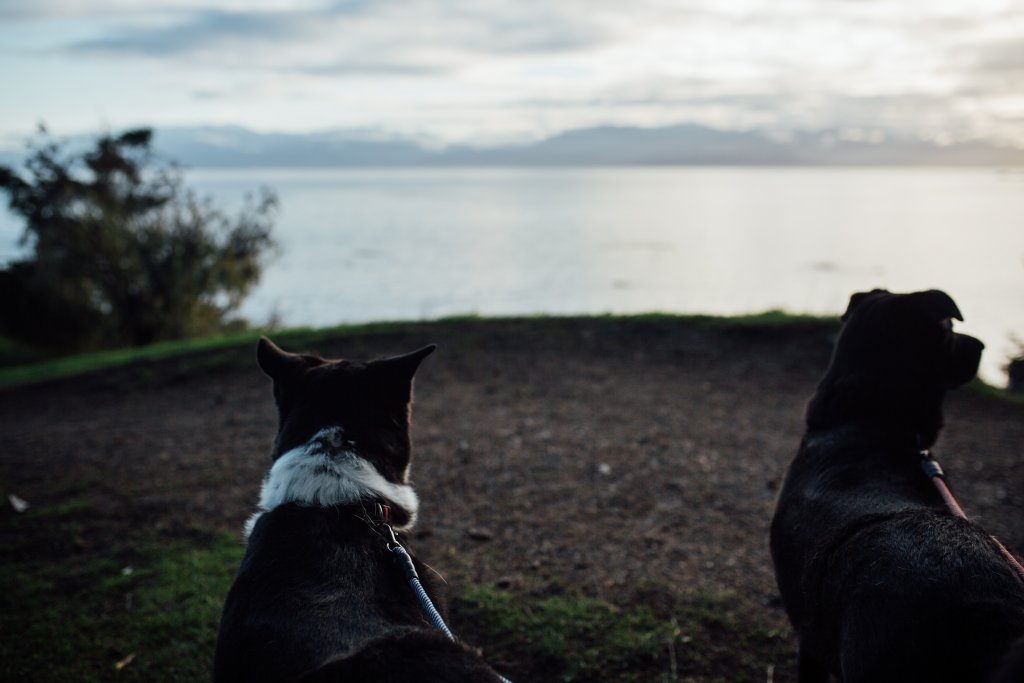 Creyke Point Trail, East Sooke Regional Park by Saidia Photography [Vancouver Island] - 