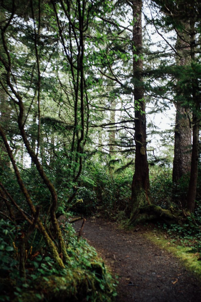 Botanical Beach Hike by Saidia Photography [Vancouver Island] - 