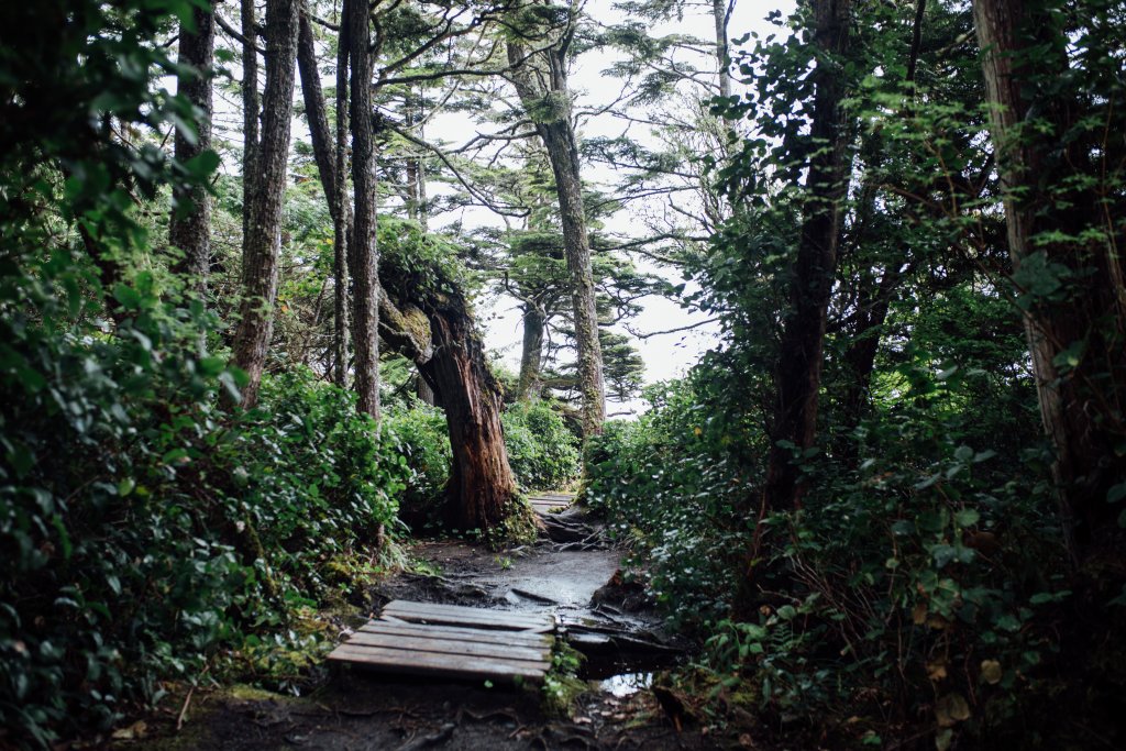 Botanical Beach Hike by Saidia Photography [Vancouver Island] - 