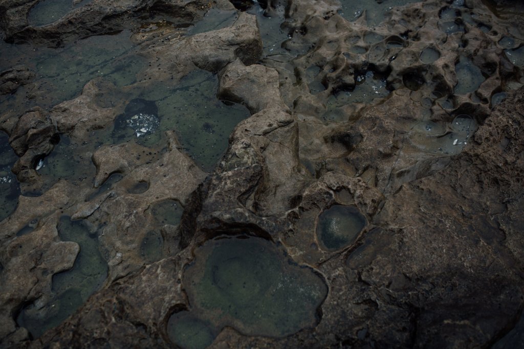 Botanical Beach Hike by Saidia Photography [Vancouver Island] - 