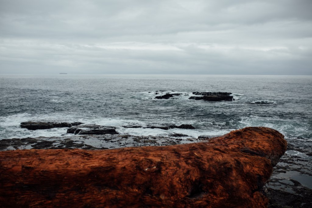 Botanical Beach Hike by Saidia Photography [Vancouver Island] - 