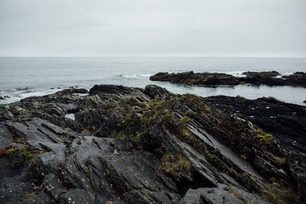 Botanical Beach Hike by Saidia Photography [Vancouver Island] - 