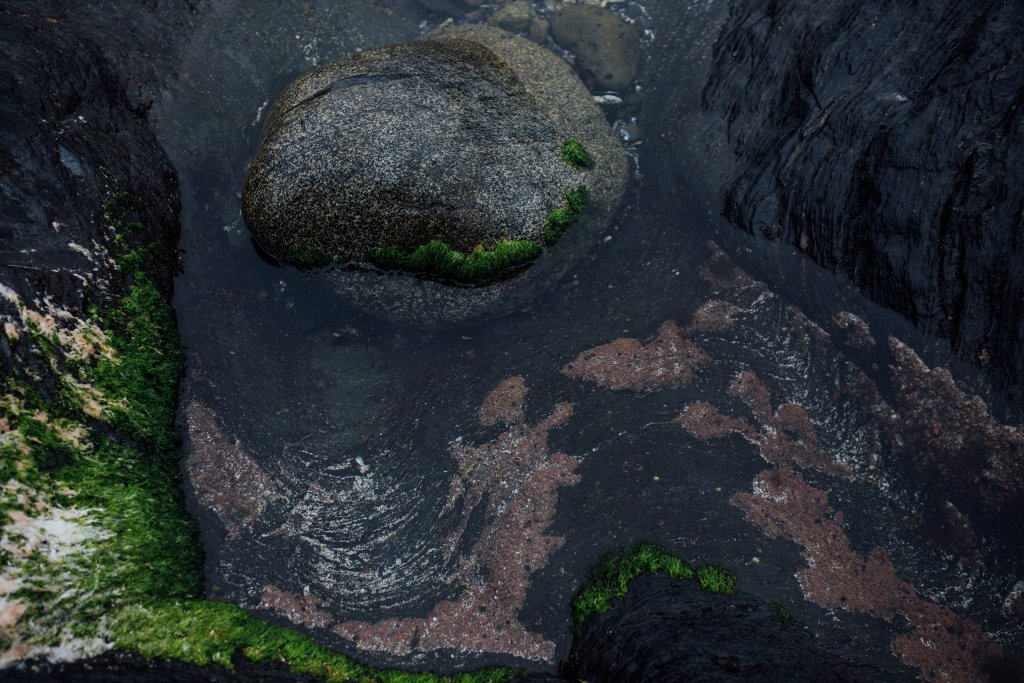 Botanical Beach Hike by Saidia Photography [Vancouver Island] - 