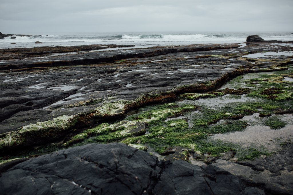 Botanical Beach Hike by Saidia Photography [Vancouver Island] - 
