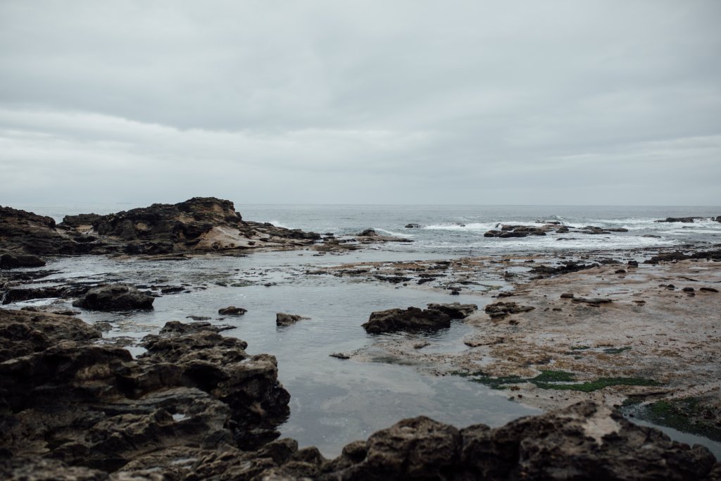Botanical Beach Hike by Saidia Photography [Vancouver Island] - 